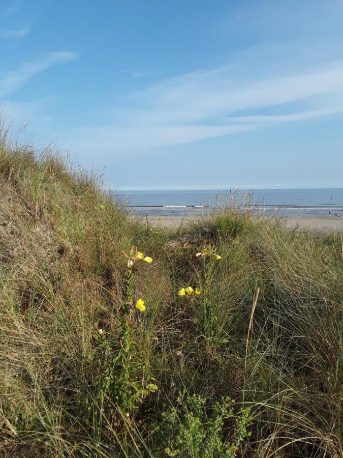 Vakantiestudio De Zeeparel De Panne Kültér fotó